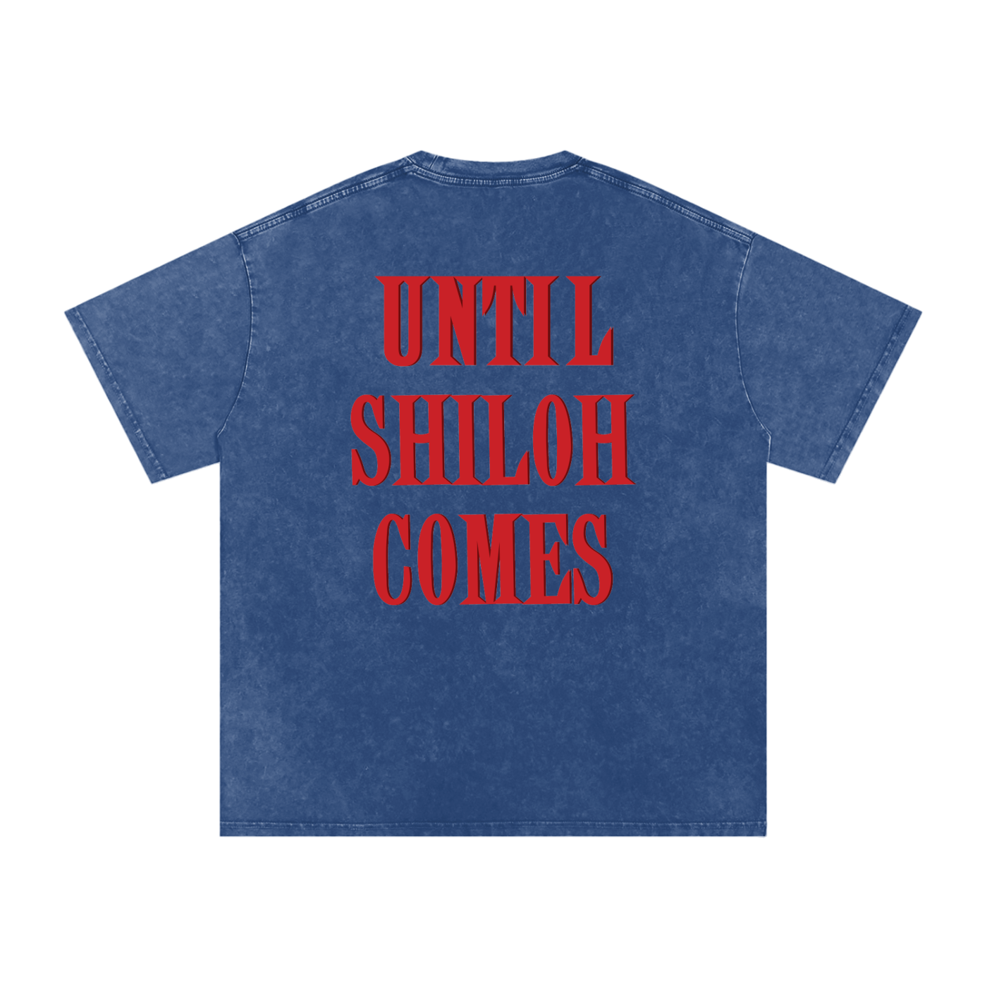Living Water Snow Washed Oversized Tee