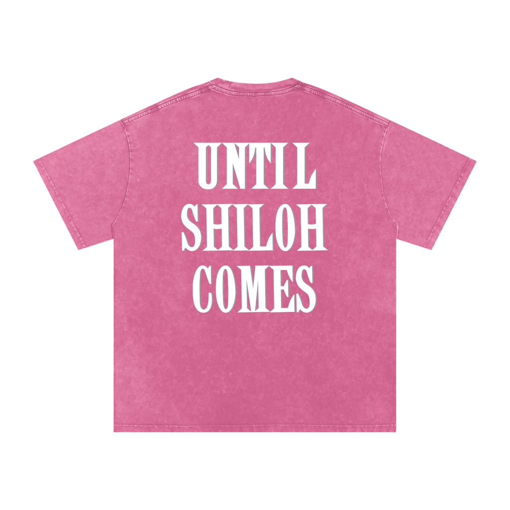 Lilies of the Field Snow Washed Oversized Tee
