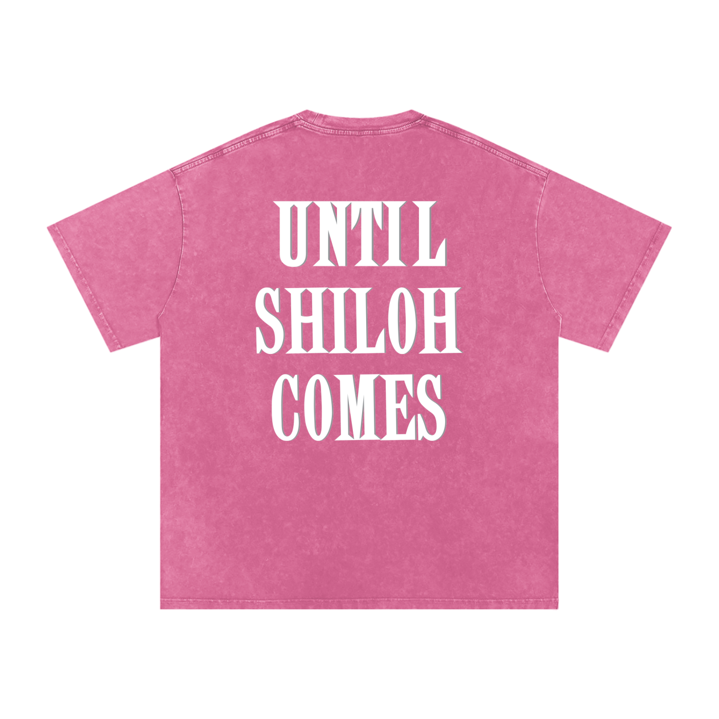 Lilies of the Field Snow Washed Oversized Tee